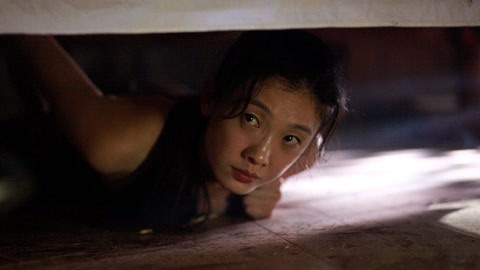 叠影惊情 推荐产品