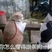 九条命（原声版）