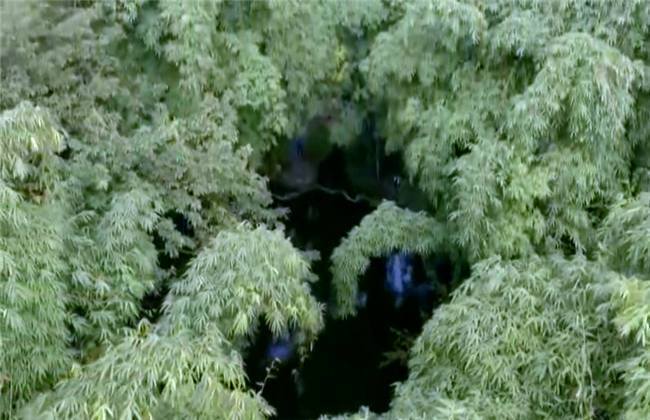 凯恩舰哗变的军事审判 产品图片