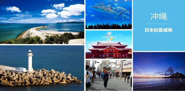 代号猛虎行动 产品图片