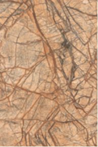 决不让步 产品图片