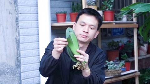 凡尔杜先生 相关产品