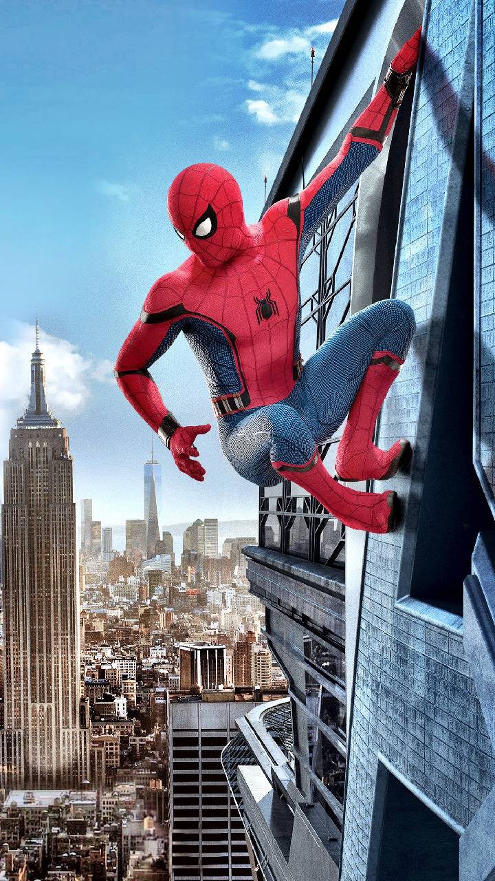 假想友 相关产品