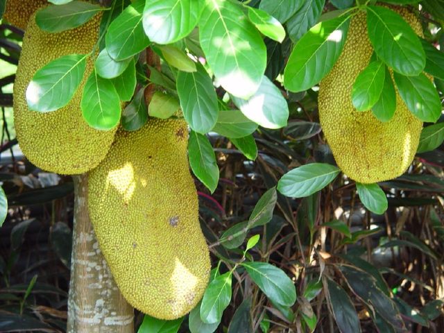 像小强一样活着 相关产品