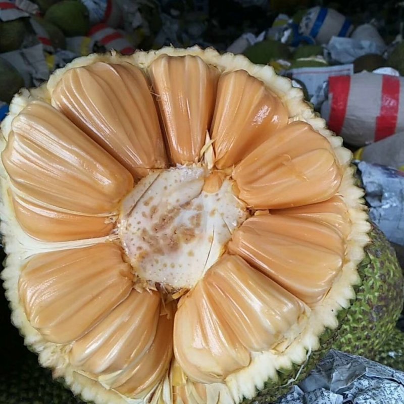 仙女下凡 产品图片