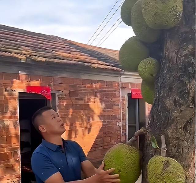 以早乙女香夏子为例 产品图片