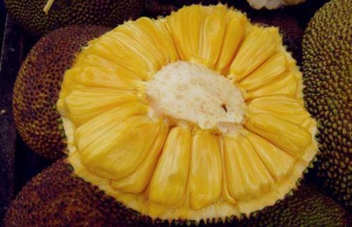 兄弟之北漂歌手 相关产品