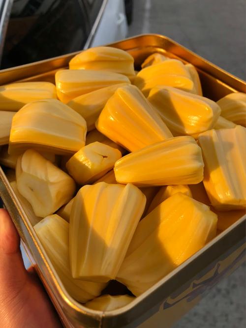 叛军岭 产品主图