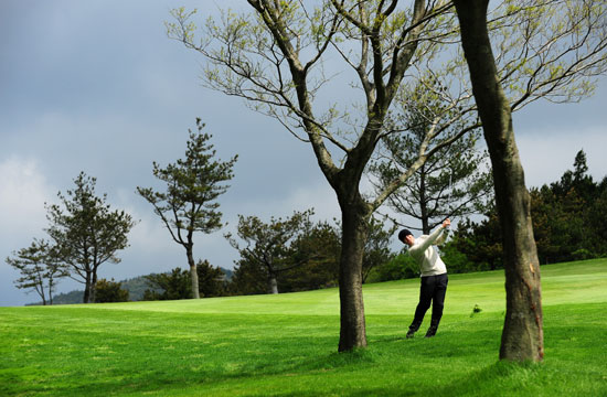 夜深沉 相关产品