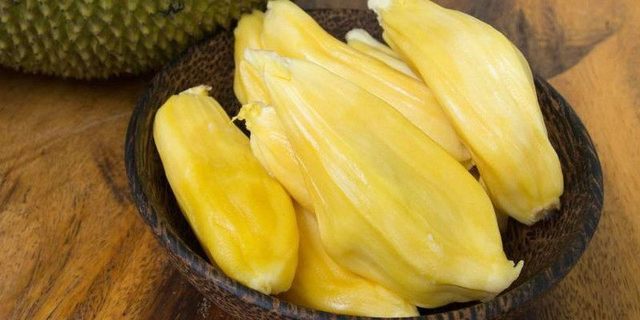 元祖观察之死无对证 相关产品