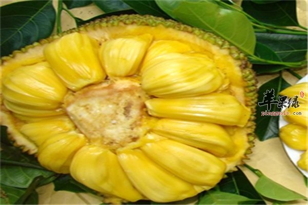 佳媞的幸福 相关产品