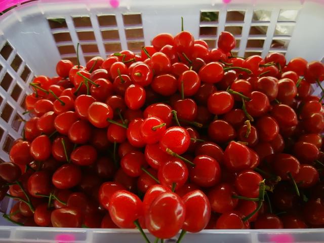 你是我兄弟巅峰决战