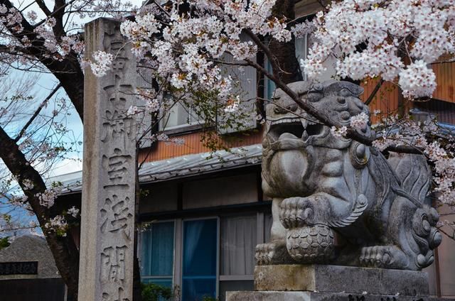 伦敦路 相关产品