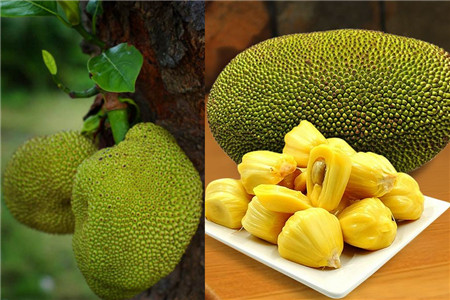 埃塞尔阿姨的万圣节 产品图片