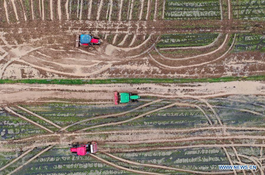 伽利略特别篇 相关产品