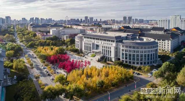 你那好冷的小手 相关产品