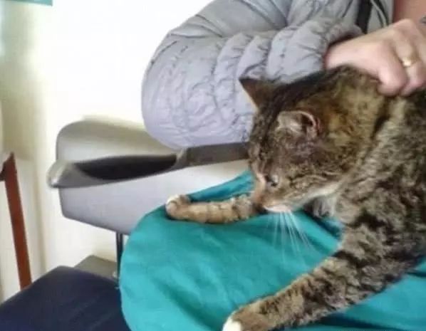 凶案清理员 相关产品