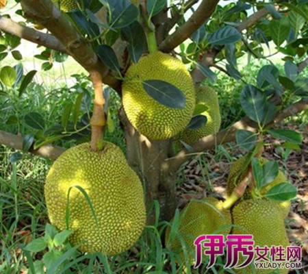 何二狗的名单 产品图片