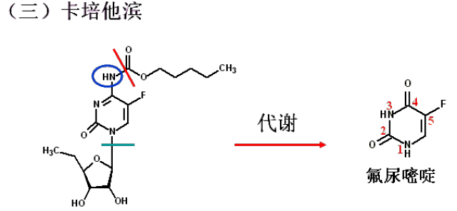 冒牌上帝 相关产品