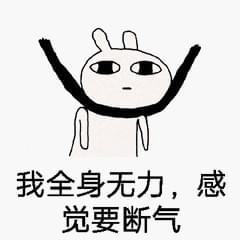 以规则之名 相关产品