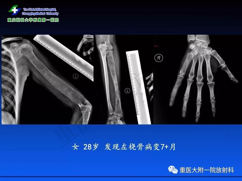 偷盗艺术 产品主图