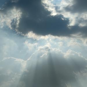 你的名字是玫瑰 相关产品