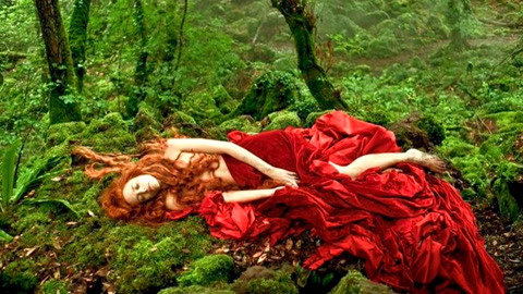 你好弗里达 产品图片