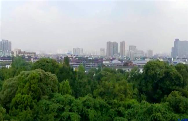 你好弗里达 相关产品