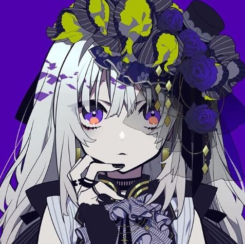 冰川鲨鱼 产品图片