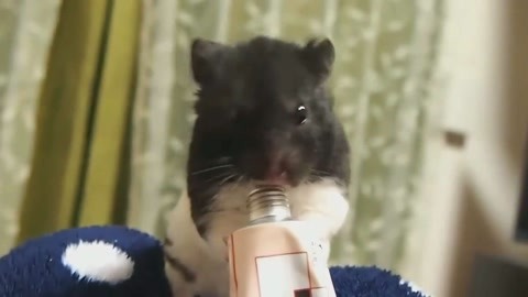 倭寇的踪迹 相关产品