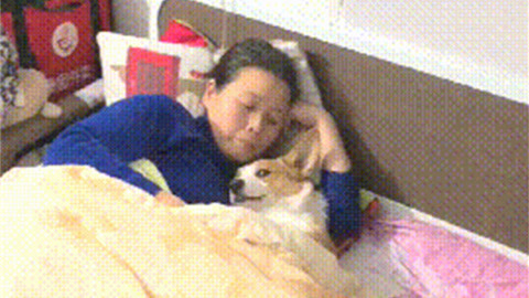 伸冤人 产品图片