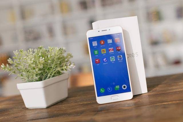 冒牌大哥 产品图片