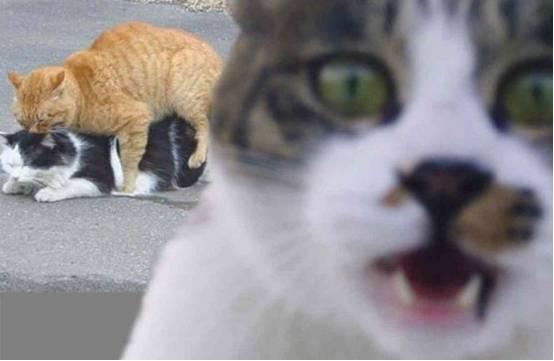 2012世界末日 产品主图