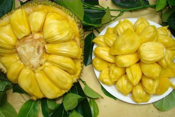 凯恩舰哗变的军事审判 产品图片