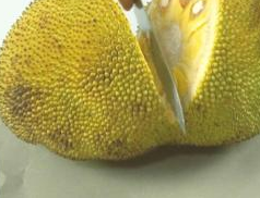 复仇者 相关产品