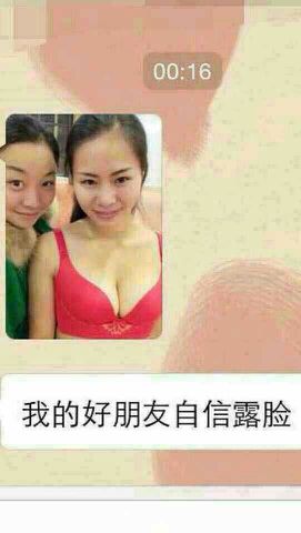 伯纳黛特你去了哪 相关产品