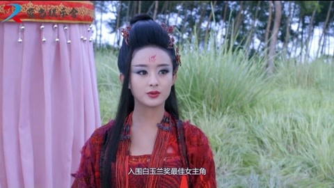 大内密探 推荐产品