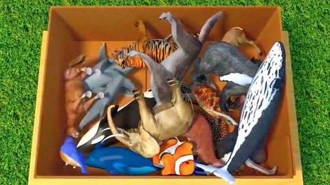 兄弟，别闹！ 产品图片