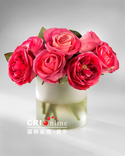 冷酷的心 相关产品