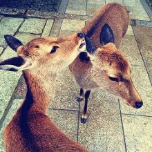 Threads of Blue 产品主图