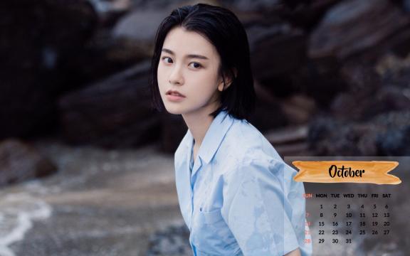 四十不惑 相关产品