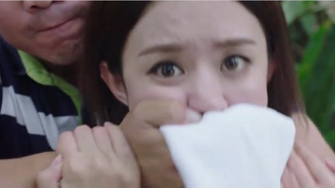 假日总动员 产品图片