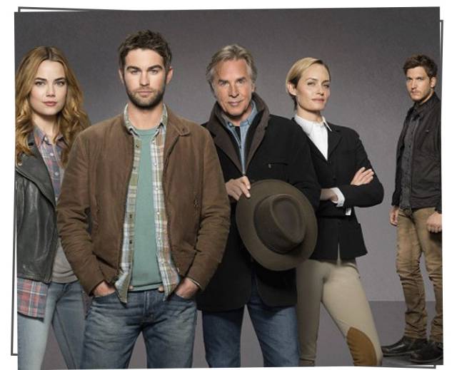 冒牌搭档（粤语） 相关产品