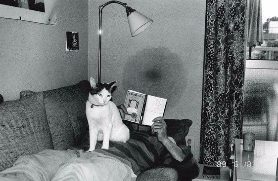 24小时狂欢派对 产品主图