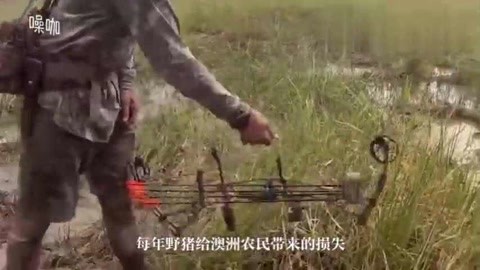 伊比萨 相关产品