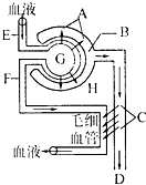 倾城佳话 推荐产品