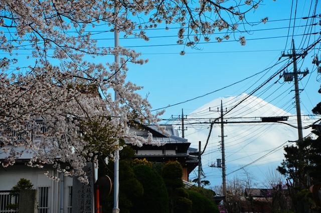 伦敦一家人 相关产品