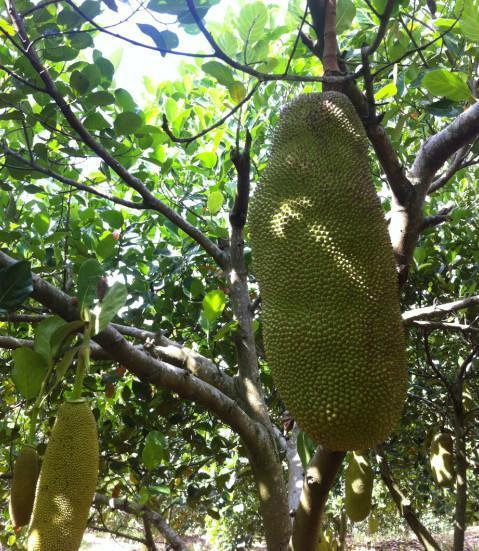 倩女幽魂3：道道道 (粤语版) 相关产品