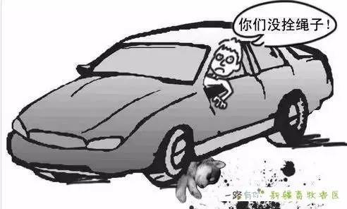 冷眼杀机 产品图片