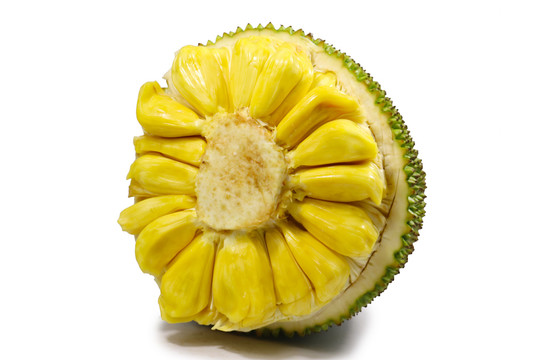 使徒行者（国语版） 相关产品